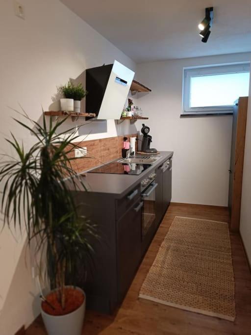 Altholzapartment In Kempten Waltenhofen Ngoại thất bức ảnh